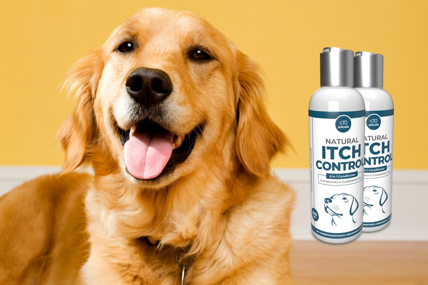 Blije Golden Retriever met Natural Itch Control Conditioner rechts