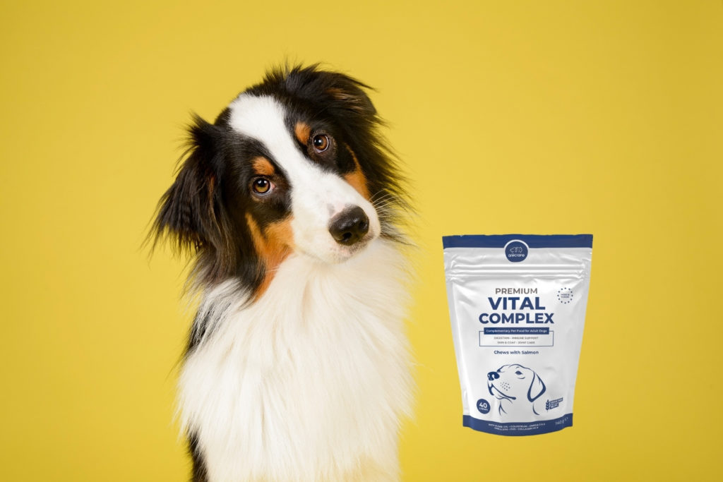 Hond naast een pakje Premium Vital Complex van Anicare