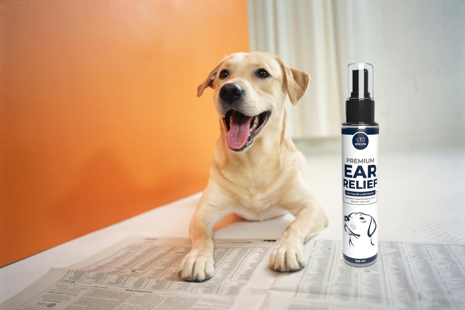 Premium Ear Relief van Anicare met een hond die ligt