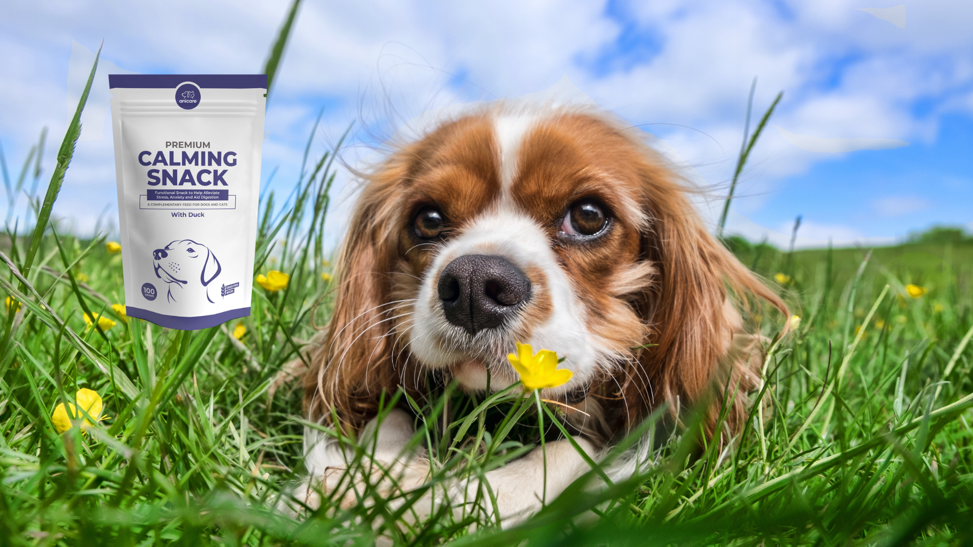 Hond liggend in het gras gekalmeerd met een zak Calming Snack van Anicare