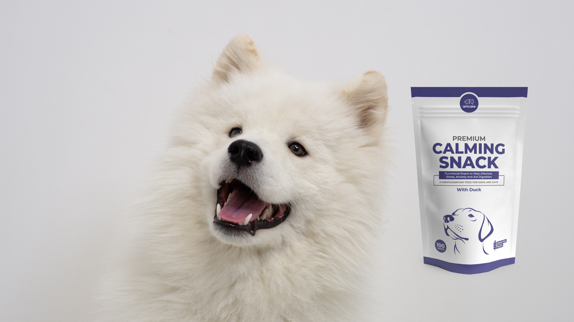 Blije witte hond met witte achtergrond. Rechts een zak calming snacks van Anicare