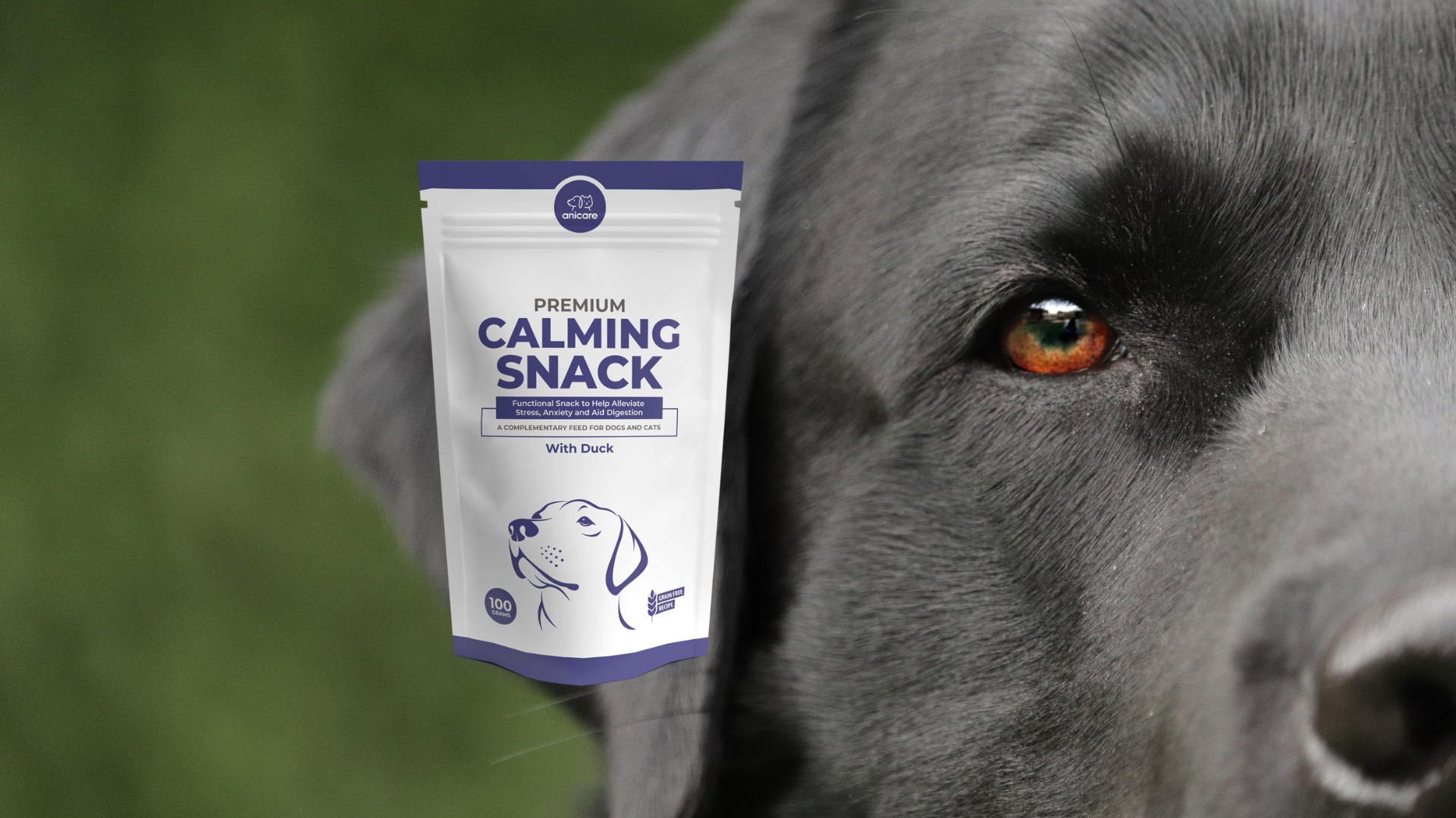 Zwarte labrador met Anicare Premium Calming Snack