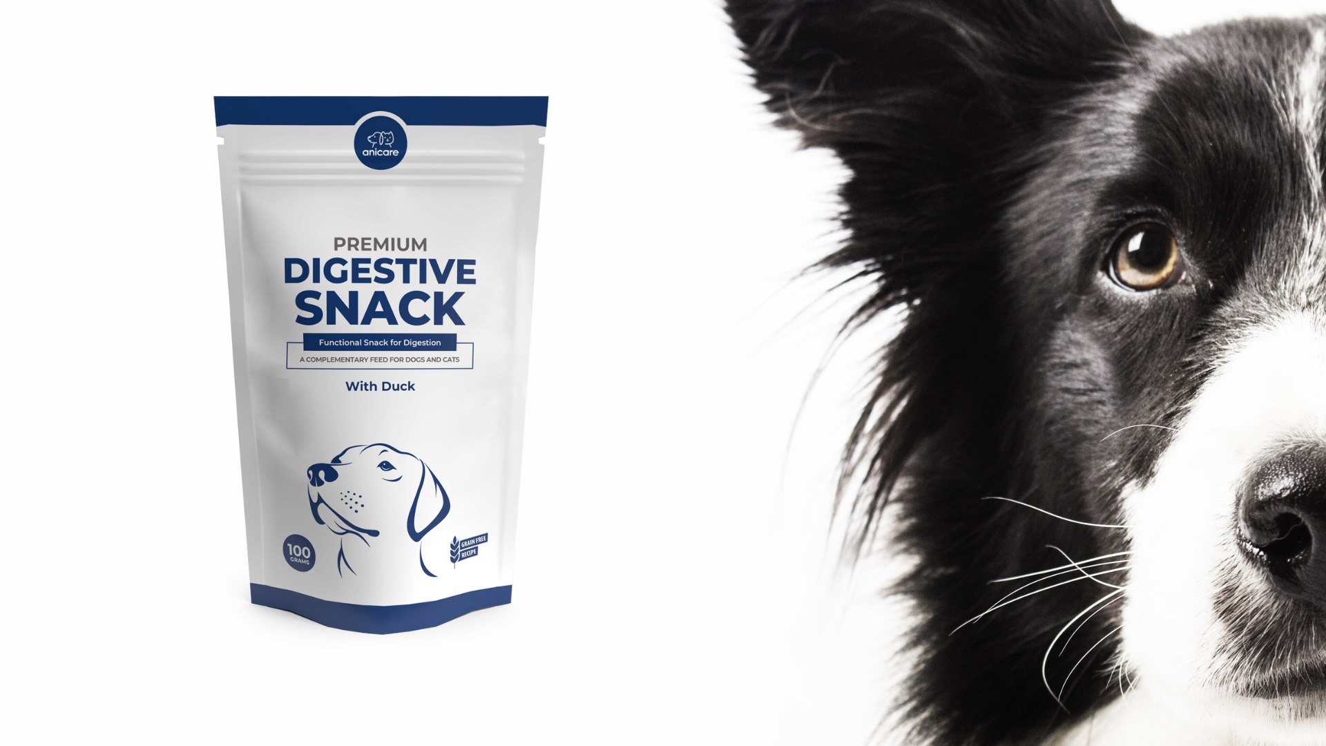 Zwart witte hond - Premium Digestive Snack