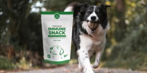 Premium immune snack