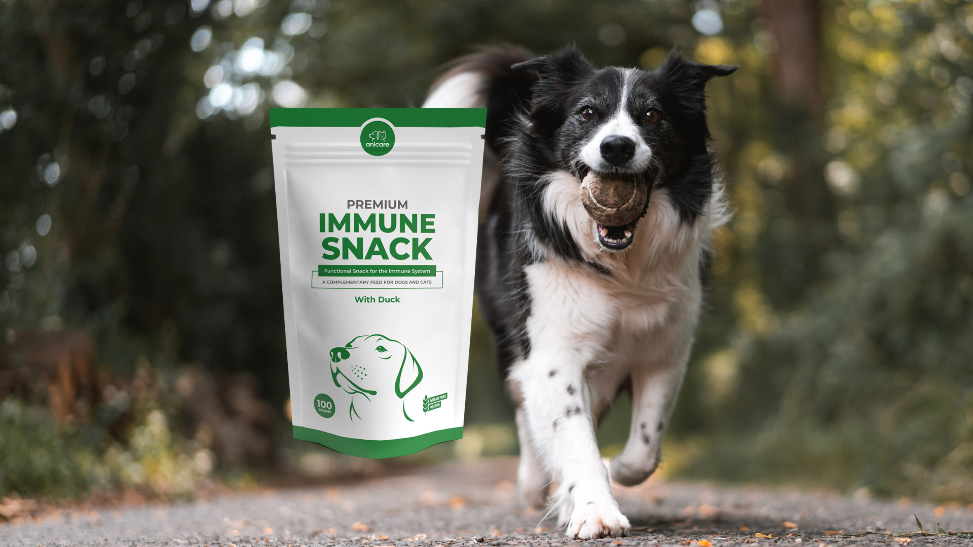 Hond met een bal in zijn bek loopt over een pad door het bos en naast hem ligt een pakje Premium Immune Snack van Anicare.