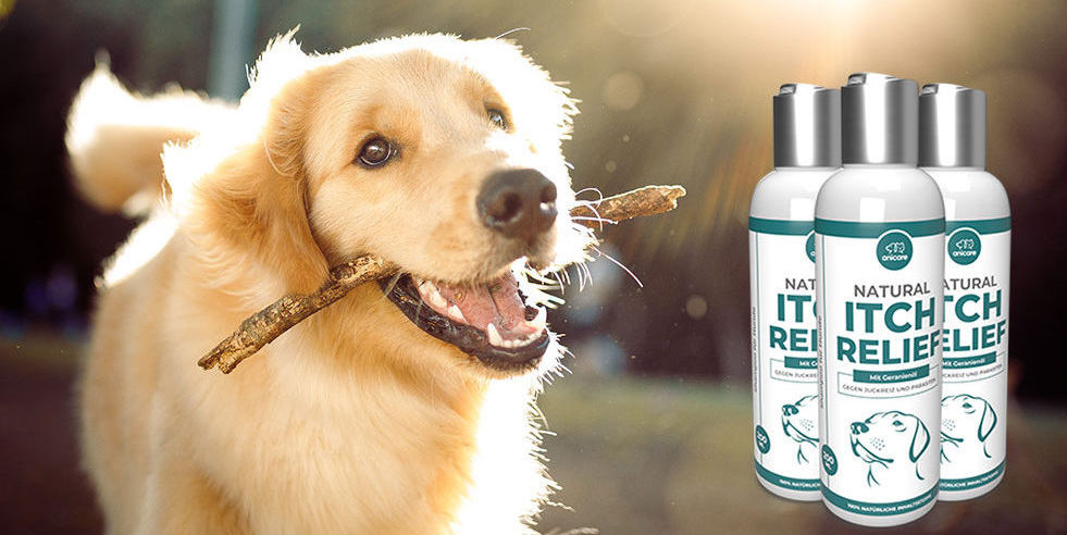 Gelukkige hond met stok in de bek met rechts Natural Itch Relief Shampoo